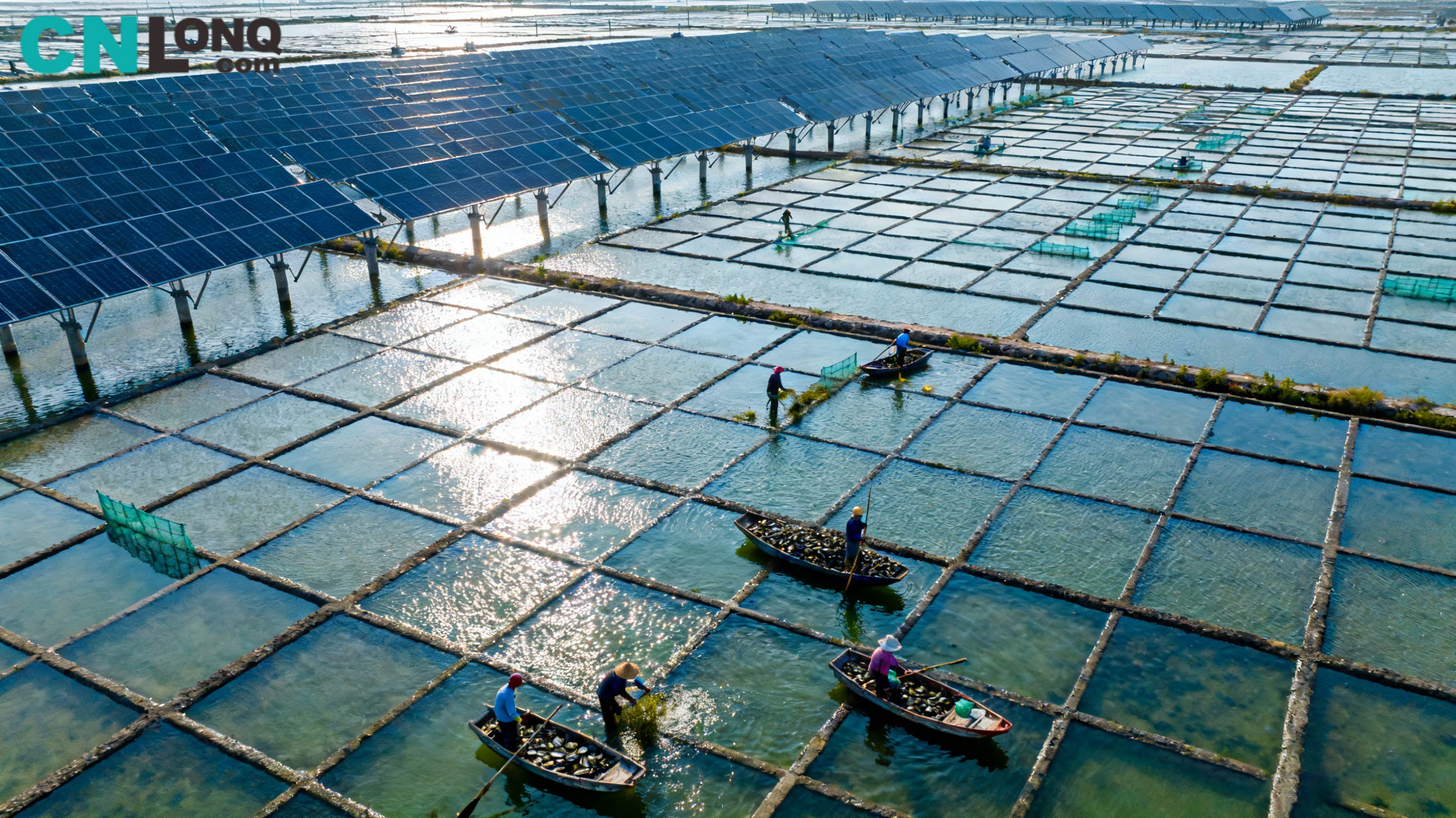 RMB 1.2 बिलियन को कुल लगानी! Xindao Qingkou साल्ट फिल्ड 250MW 